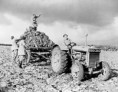 /album/photogallery/a250px-fordson-tractor-with-members-of-british-womens-land-army-1940s-jpg1/